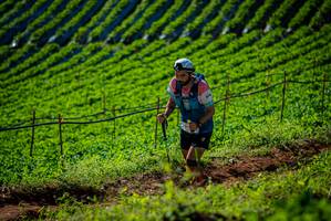 BIB: 
                            <button type="button" onclick="openModal(19160972)" class="btn btn-primary btn-sm float-right btn-popup" data-toggle="modal" data-target=".modal-high-quality">
                        <i class="fas fa-shopping-cart"></i> Add to Cart
                    </button>
                                            <button type="button" onclick="isThisMe(19160972, true)" class="btn btn-success btn-sm float-right btn-popup btn-isme hidden" data-toggle="tooltip" data-placement="bottom" title="นี่คือรูปของคุณใช่ไหม คลิกที่นี่เพื่อเอาเข้าอัลบั้ม">
                        <i class="fas fa-plus"></i> Add to album
                    </button>
                    <button type="button" onclick="isThisMe(19160972, false)" class="btn btn-warning btn-sm float-right btn-popup btn-isnotme hidden">
                        <i class="fas fa-ban"></i> Remove from album
                    </button>